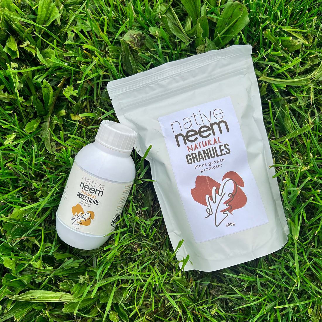 Natural & Organic Grass Grub Control - NativeNeem