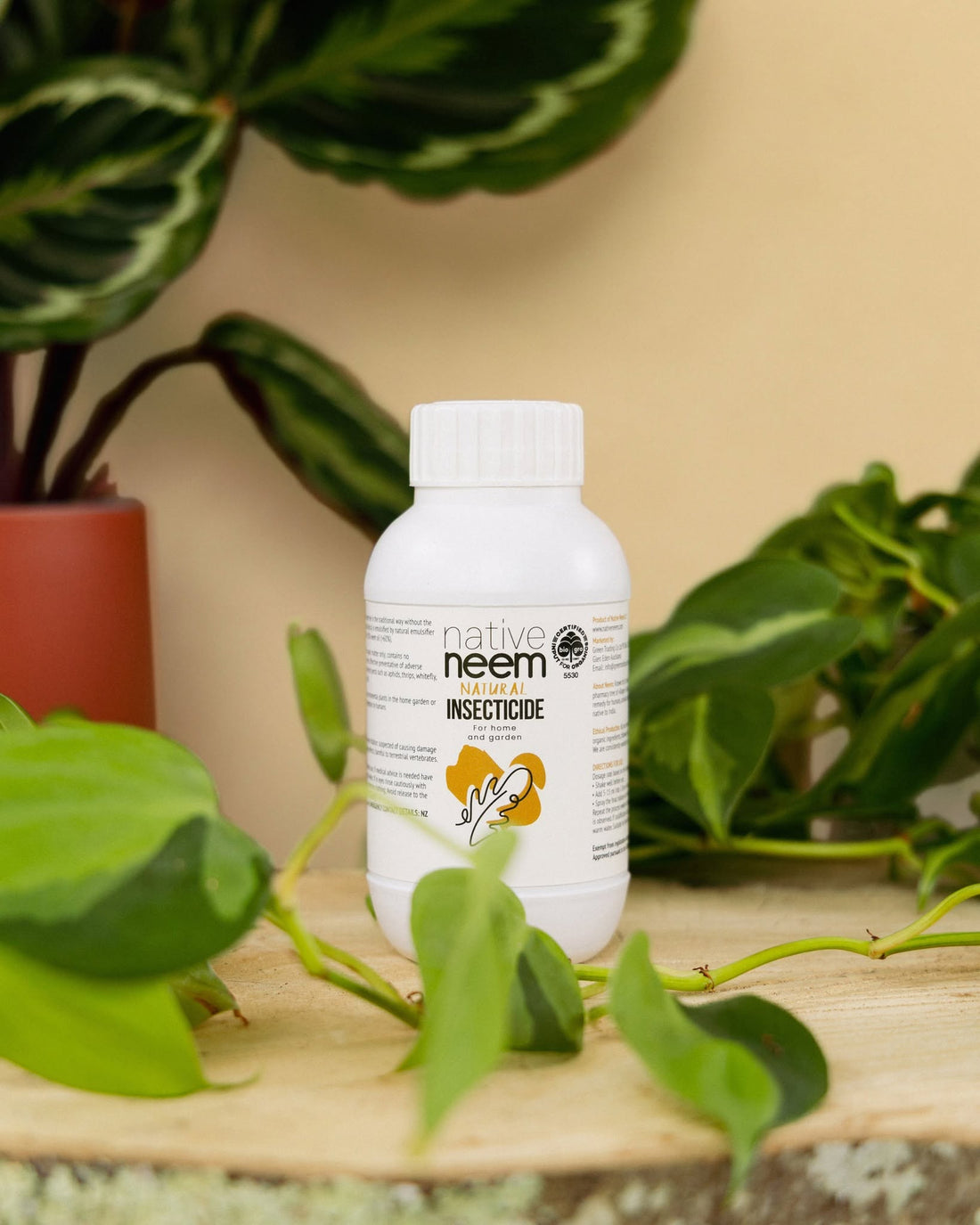 Autumn Reset: A Natural Way to Care for Your Garden with Neem