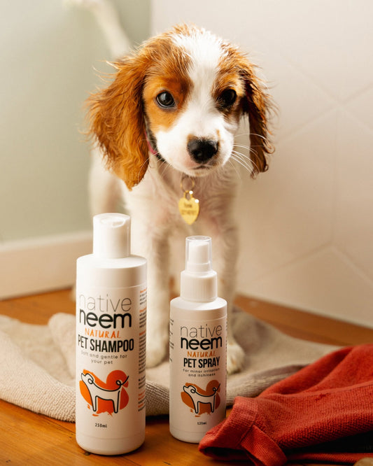 Understanding Neem as a Natural Flea and Tick Solution for Pets