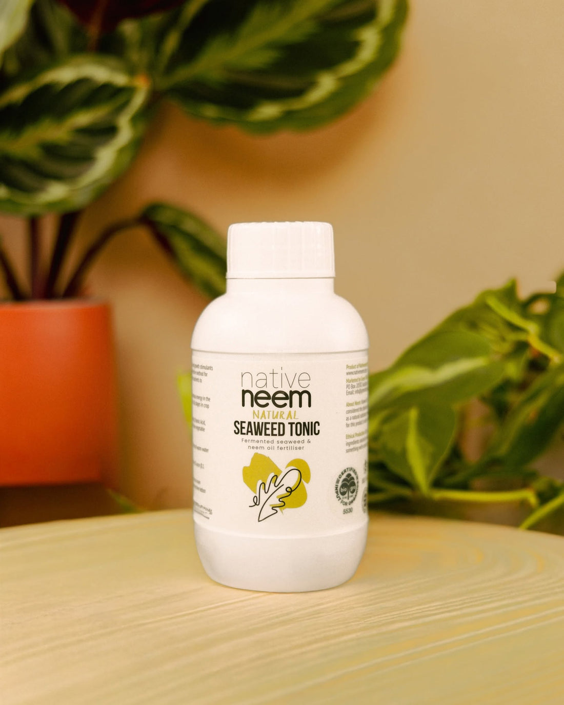 Seaweed Extract: Plant Growth and Soil Health Explained