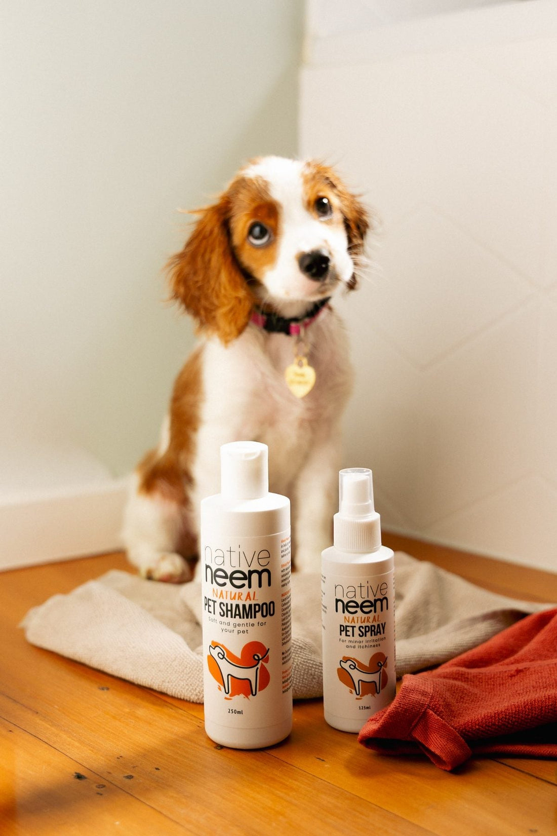 Dog with Native Neem Natural Pet Shampoo and Pet Spray for gentle winter skin and coat care.