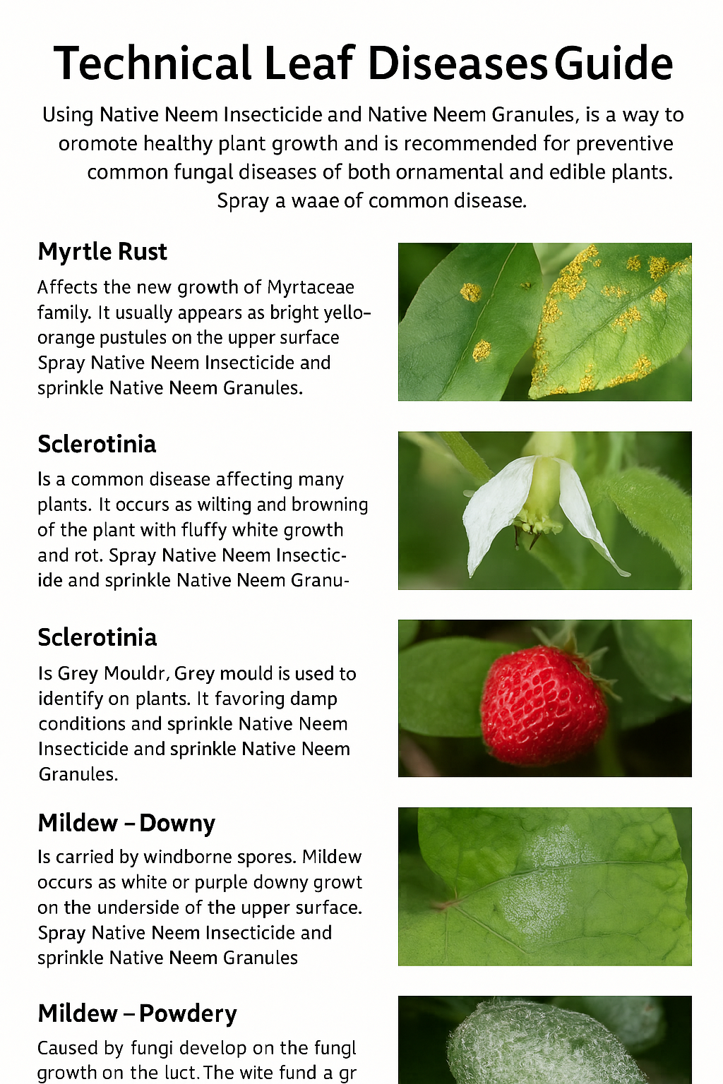 Native Neem Oil  and Neem Granules for Leaf Diseases