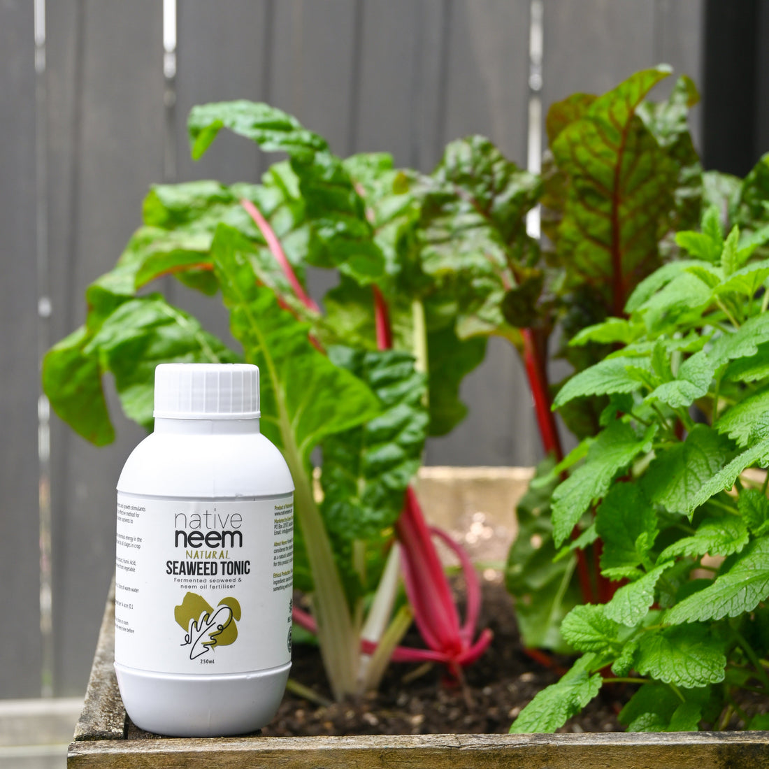 Seaweed tonic - it's not your average fertilizer! - NativeNeem